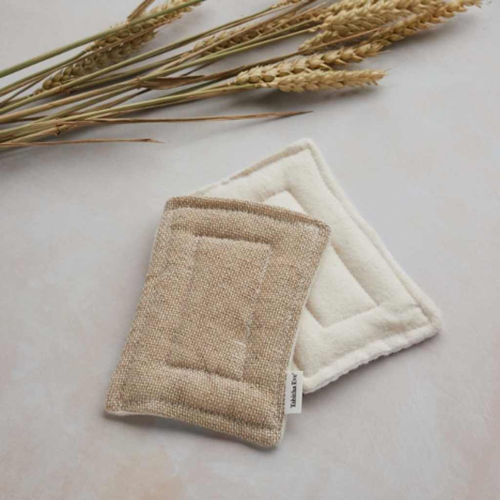 kitchen sponge bacteria