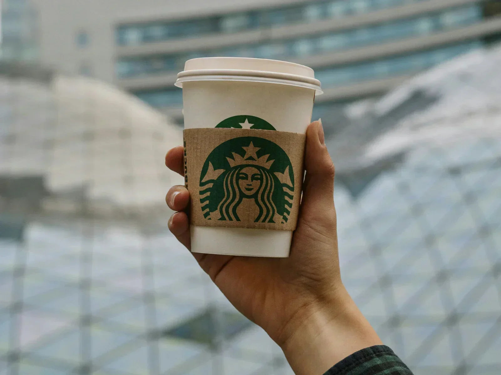 Are Paper Coffee Cups Recyclable? Hidden Plastic Explained