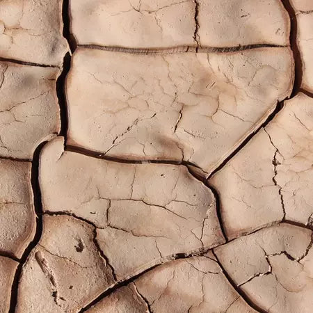 earth overshoot day 