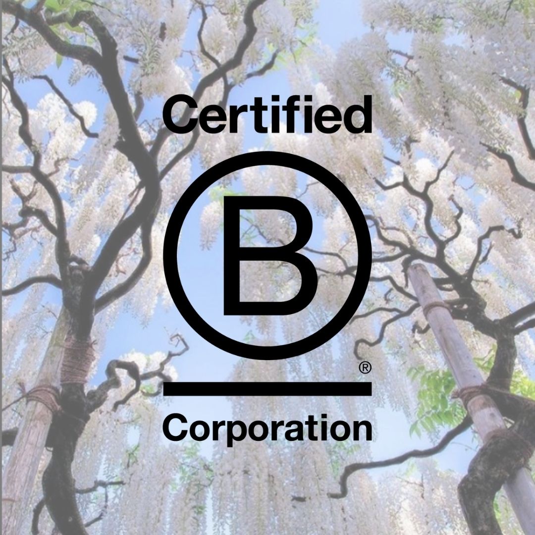 B Corp Brands you should know