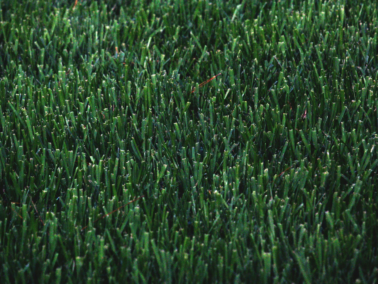 artificial grass fake grass astroturf heat and microplastic concerns