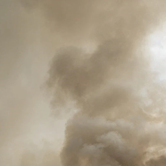 How To Reduce Indoor Air Pollution Spruce Blog how-to-reduce-indoor-air-pollution-spruce-blog