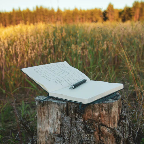 eco friendly goal setting