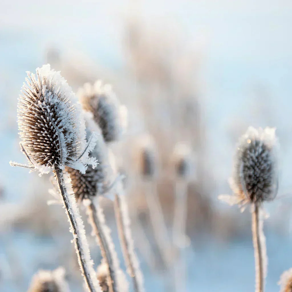 are antibacterial sprays harmful