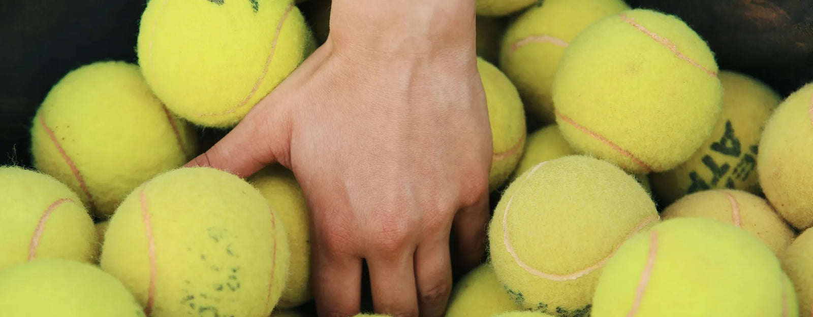 Kids’ Sports Balls Toxic
