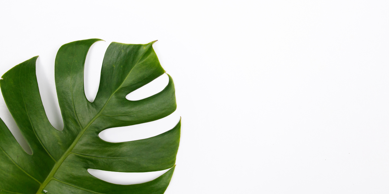 No greenwashing in Spruce eco-friendly cleaning products and plastic-free kitchen cleaner refills. We don't claim to be zero-waste cleaning. Our refills are vegan, cruelty-free and chemical free cleaning. Say yes to environmentally friendly cleaning.