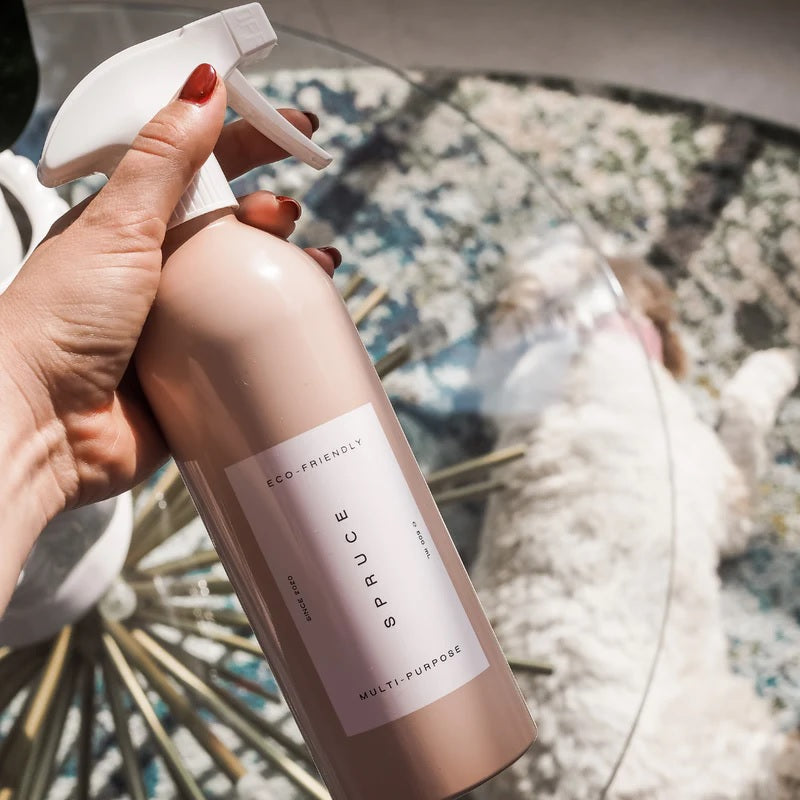 Hand holding all purpose surface cleaner