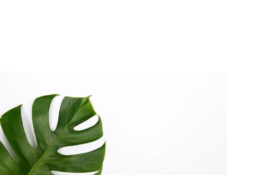 spruce refillable cleaning products no greenwashing