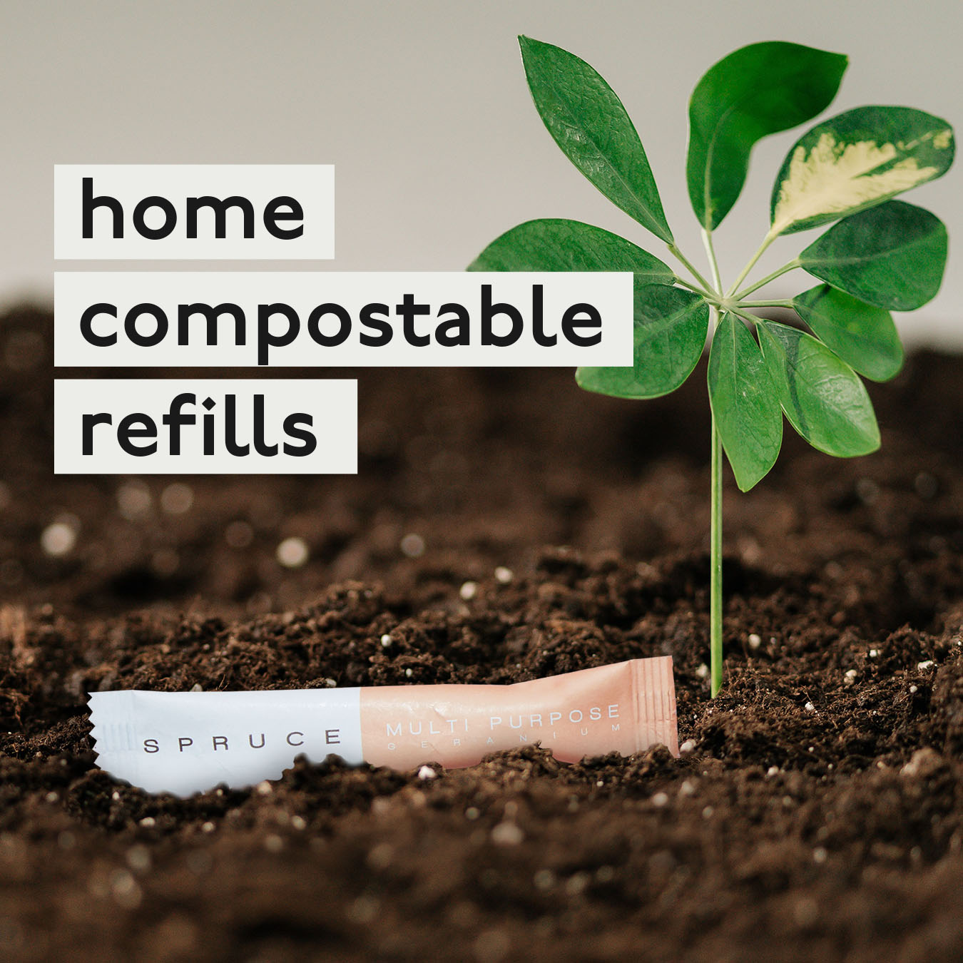 A home compostable surface cleaner refill in soil 