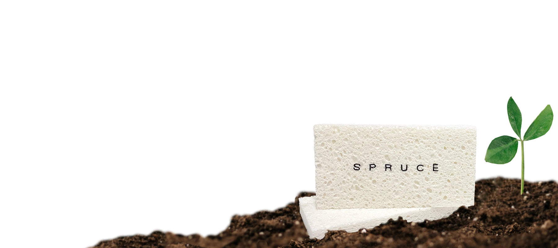 plastic free sponge