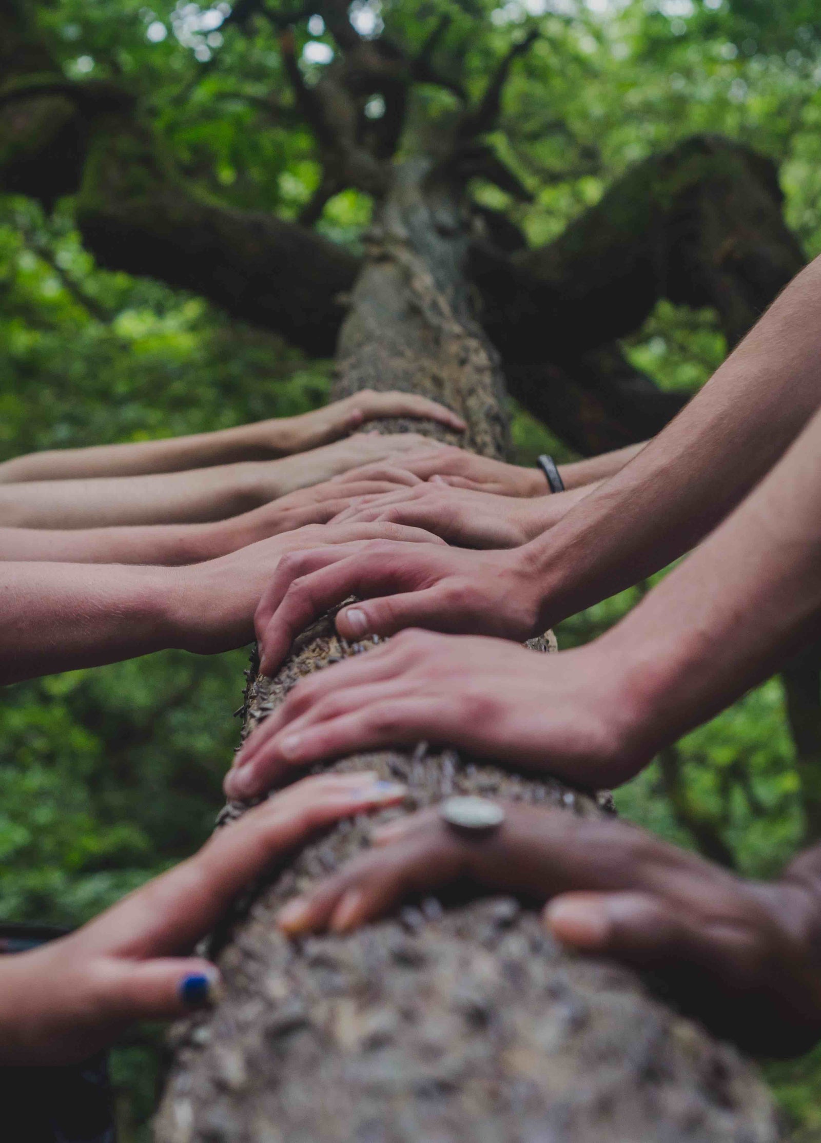 spruce cleaning b corp uk company