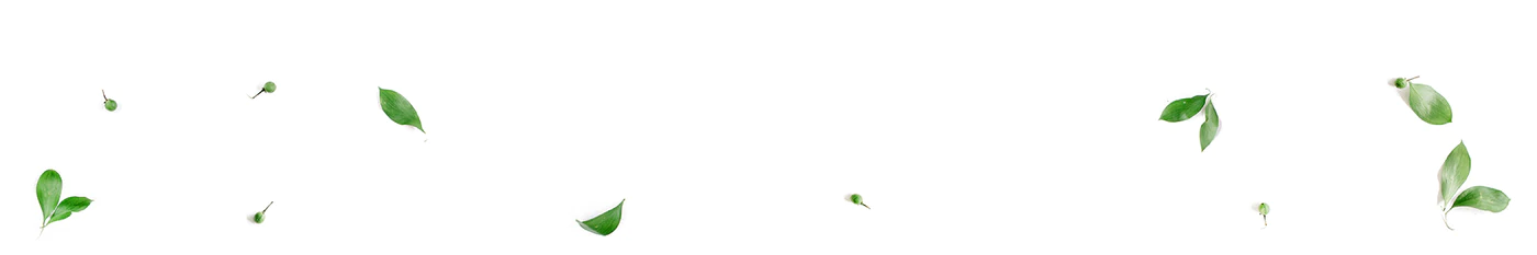 refillable cleaning products 